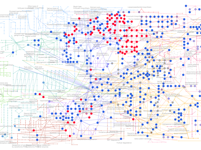 cell metabolism2