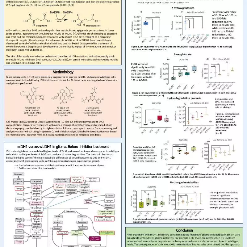 poster 6 ich poster bmss 2019 small molecule mutant isocitrate dehydrogenase inhibitors diminish multiple