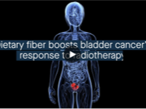 dietary fibre