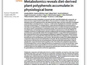 diet derived plant polyphenols