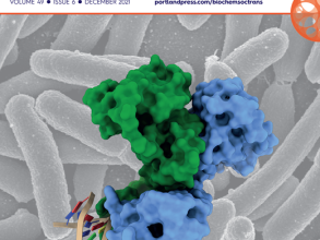 m bst 49 6 cover 