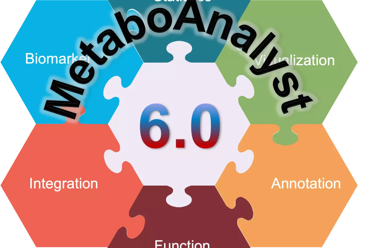 ma6 logo